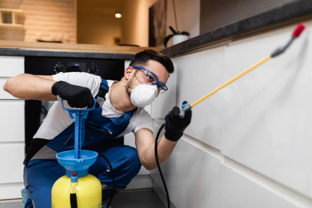 Best Termite Control Services  in Benbrook, TX