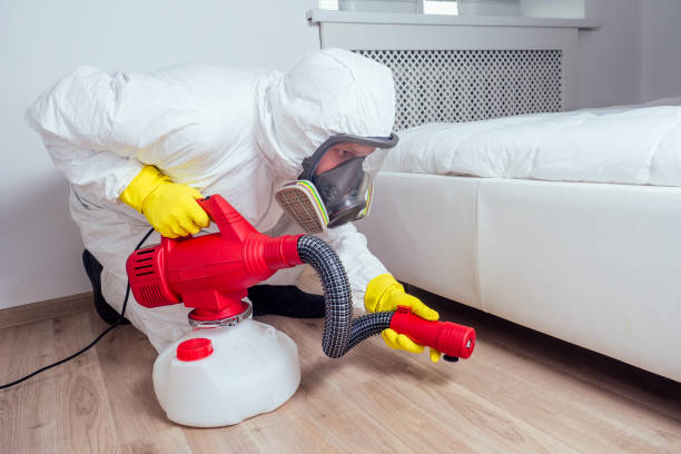 Pest Prevention Services in Benbrook, TX
